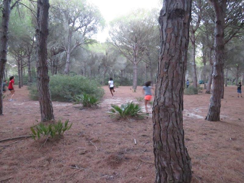 Village Camps International Summer Camp Chiclana, Spain 2017-07-28 https://www.villagecamps.com/journals_admin/images/1823-6816-P_20170704_110540 (11).jpg